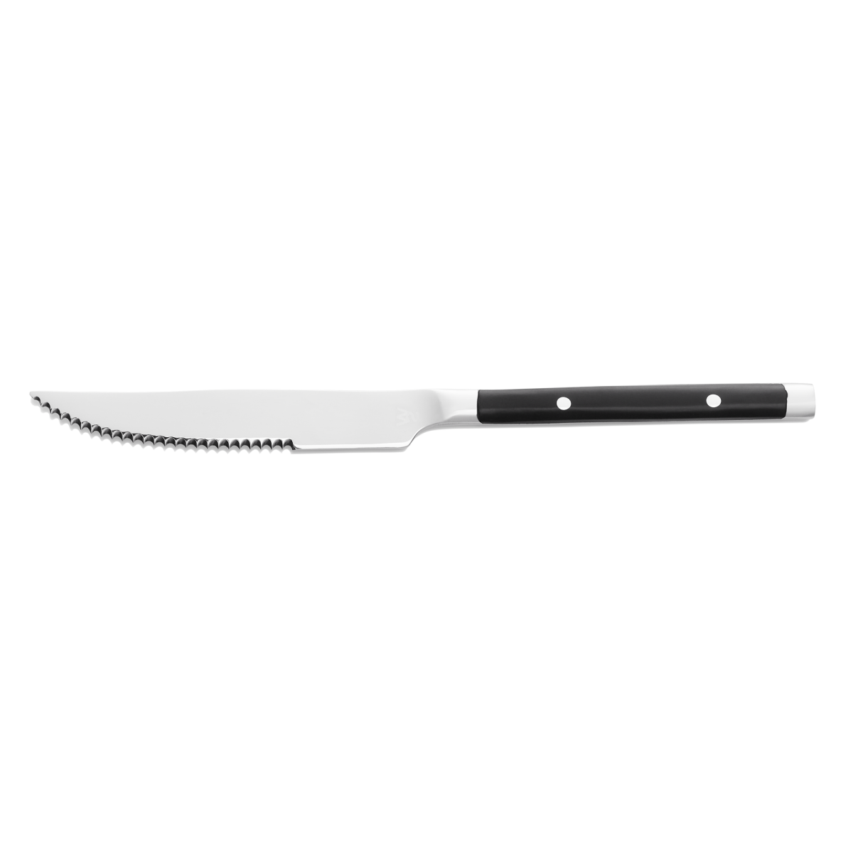 Steakmesser BISTRO TREND, 21 cm, mit Kunststoffgriff,12...