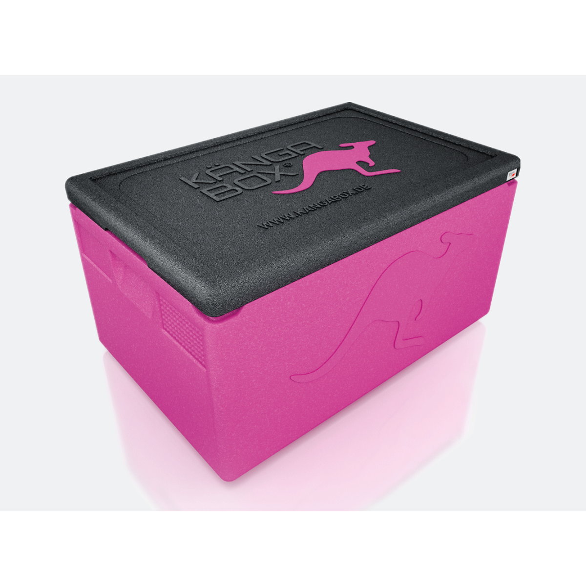 GN Thermobox Professional 48 Liter, pink, EPP Kunststoff,...